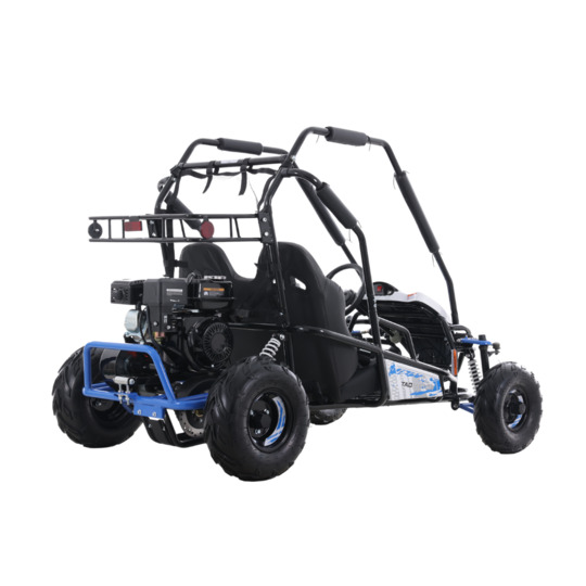 Buy Taotao Baja Sprinter 200 Go-Kart | Arlingtonpowersports